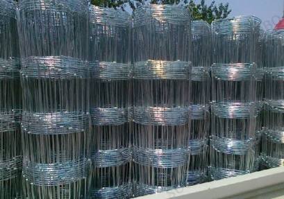 13177754_1743241425896327_3217748270341809591_n